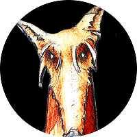 Hund-kreis-200