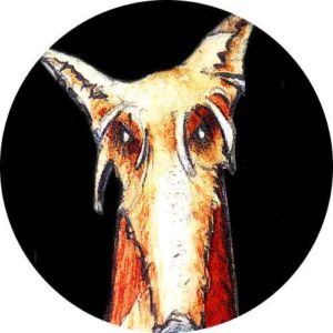 Hund-kreis-500